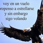 Héctor Vivanco - @homerortiz92 - Instagram