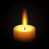 Homer Ortiz - @homer.ortiz7 - TikTok