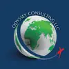 Homer Randle III282 - @odysseyconsult1 - TikTok