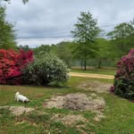 Homer Ray - @homerstockstill - Instagram
