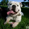 user4031227574928 - @homeroland - TikTok