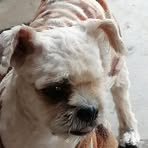 Homero Sinclair - Facebook