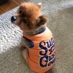 Homer Thomas Lose-Amis - @homer_thomas04 - Instagram