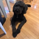 Joanie - @homer.wells.100 - Instagram