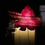 Homero Ramirez - @homero.f.ramirez - Instagram