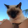 HoneyBeard - @honeybeard0 - TikTok