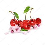 🍯hany🍯💞🍒cery🍒 - @___honey_cherry___ - Instagram