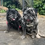 Honey & Cherry - @honey.and.cherry - Instagram