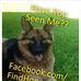 Find Honey Bear Stolen German Shepherd - Facebook