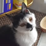Honey Gray - @grayhoney17 - Instagram
