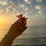 𝓗𝓸𝓷𝓮𝔂 🍯 - @honey_keyzz - Instagram