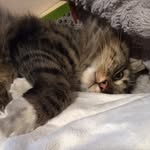 Honey Lambert - @honey113456 - Instagram