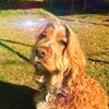 Tobee Honey McGee - @tobee.obi - TikTok