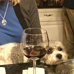 Honey Murphy - Facebook