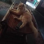Honey Murphy - Facebook