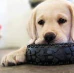 Honey Olson - Facebook
