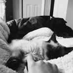 Honey Roberts - Facebook