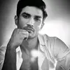 Honey Roy - @honeyroy252 - TikTok
