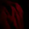 honeysuarez - @honeysuarez - TikTok