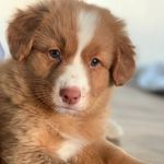 Honey Walker - @honeywalkerr - Instagram