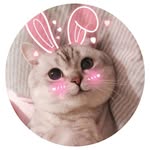 Wallpapers and Profile Photosシ - @honeywallpapers - Instagram