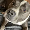 Honey West - @honey.west57 - TikTok