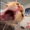 honeyywinter - @honeyywinter - TikTok