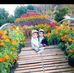 Hồng Ang - Facebook