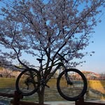 홍권 - @hongkwon134 - Instagram