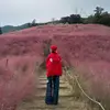 Hồng trang - @tranght125 - TikTok