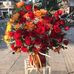 Hong Ung - Facebook