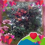 Hong Ung - @hong.ung.1029 - Instagram