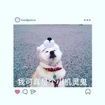 hongmei Chen - @xiaojuzilalalah - Instagram