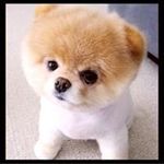 乗池宏美 - @hongmeichengchi - Instagram