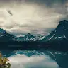 Hongyang Tang - @hongyangtang7 - TikTok