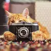 Hong-Yi Chen - @hongyichen23 - TikTok