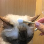洪依晨 - @hongyichenhong - Instagram