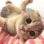 (Edwin)hongyi Yang - @edwin_yanghongyi - Instagram