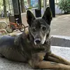 Hong-Yi Yang - @hongyi.yang1 - TikTok