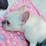 Hongyi Yang - @hongyi8401 - Instagram