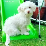 Honor Harrison - @honor_harrison - Instagram