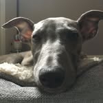Honor White - @honorwhite62 - Instagram