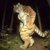 Honorio Lopez - @honorio.lopez2 - TikTok