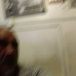Honorio Lopez - @honorio.lopez.7121 - Instagram