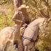 Honorio Perez - Facebook