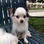 Hoon Lim - @hoon6344 - Instagram