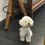 @hoonyi__ - Instagram