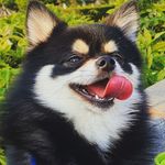 도훈 - @hotteok__hoonyi - Instagram