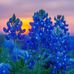 Hope Barrera - Facebook