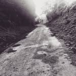 crazypotato - @hope.barron.2012 - Instagram